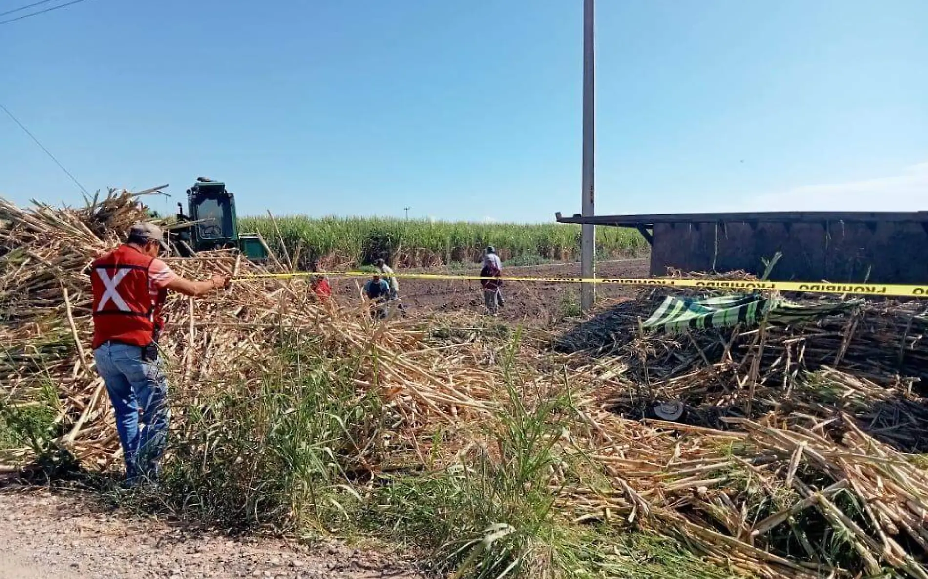  Un trabajador que realizaba la siembra de caña en una parcela falleció Gustavo García (1)